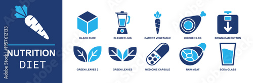 Nutrition diet icon set. Containing blender jug, carrot, chicken leg, green leaves, capsule, raw meat, soda glass, healthy food, vitamin supplement and more. Solid fill vector icons.