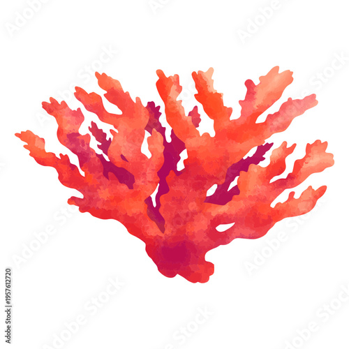Esplendid red coral