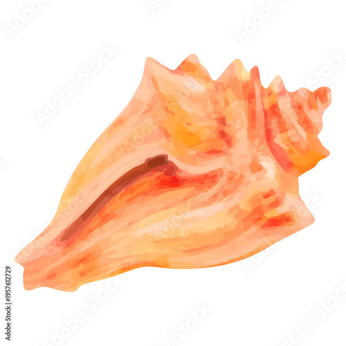 Watercolor seashell