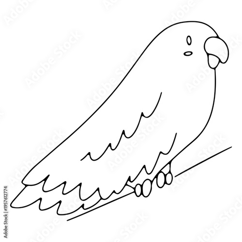 Cute parrot standing on a branch