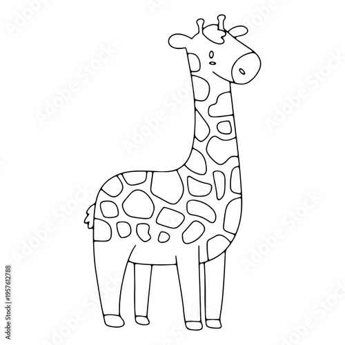 Cute giraffe watching the landscape