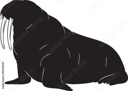 A walrus sitting on ice or ground with long tusks