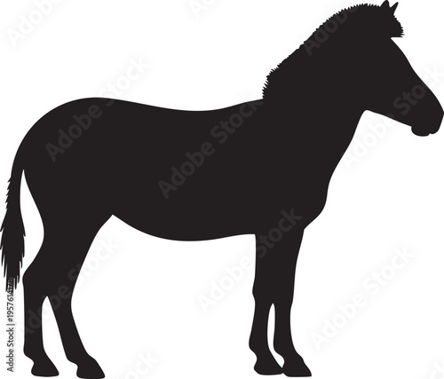 Black horse silhouette standing profile