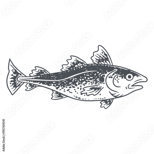A drawing of a cod fish