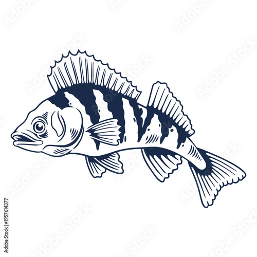 Perch fish filled stroke