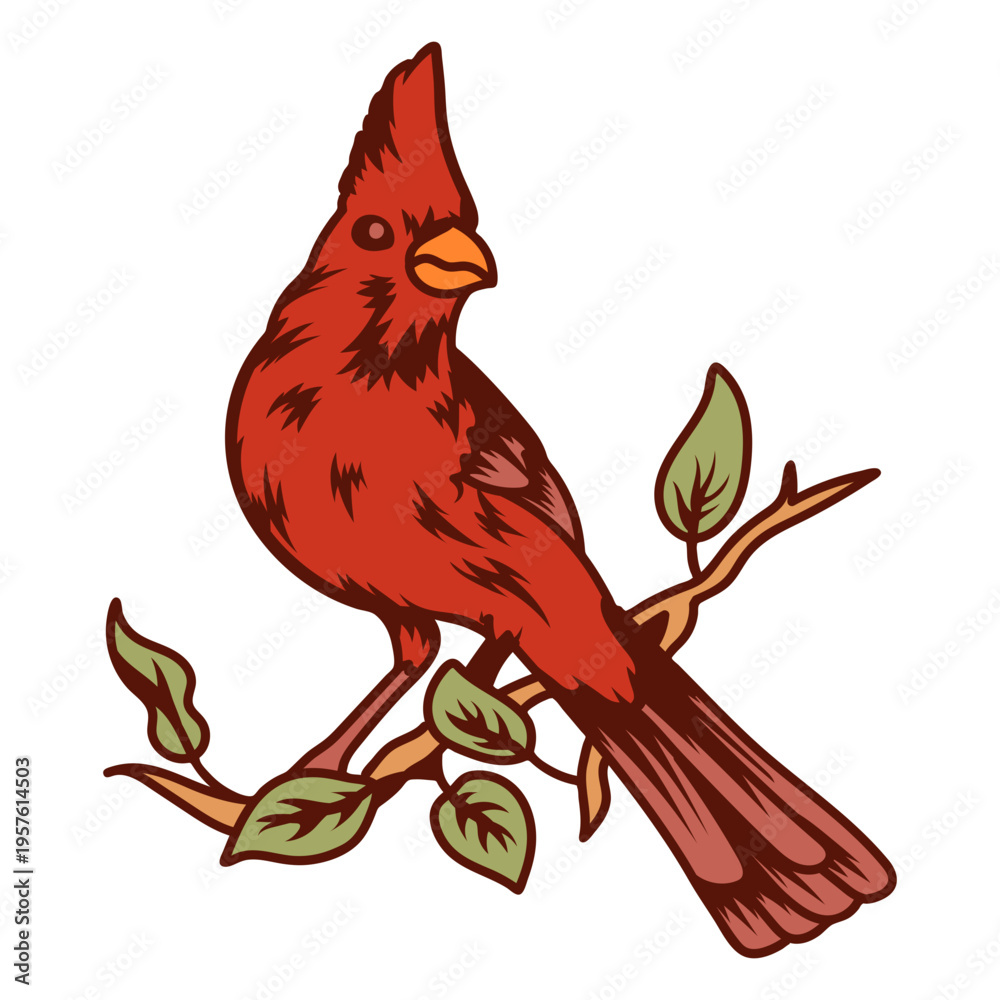 Fototapeta premium Birds color stroke cardinal