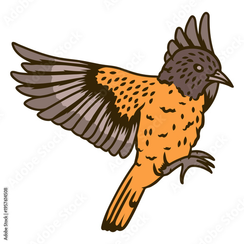 Birds color stroke american robin