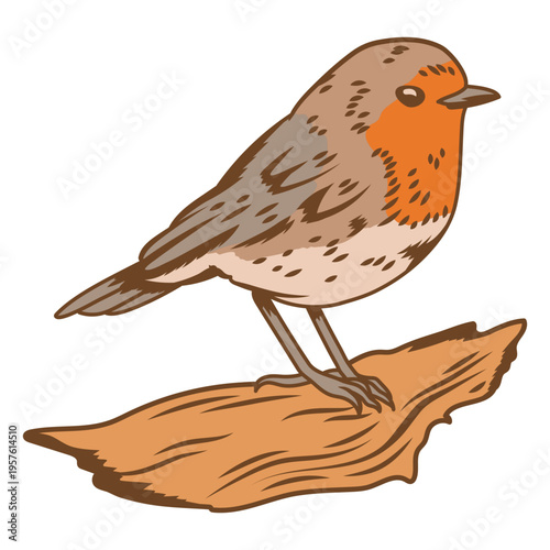 Birds color stroke robin