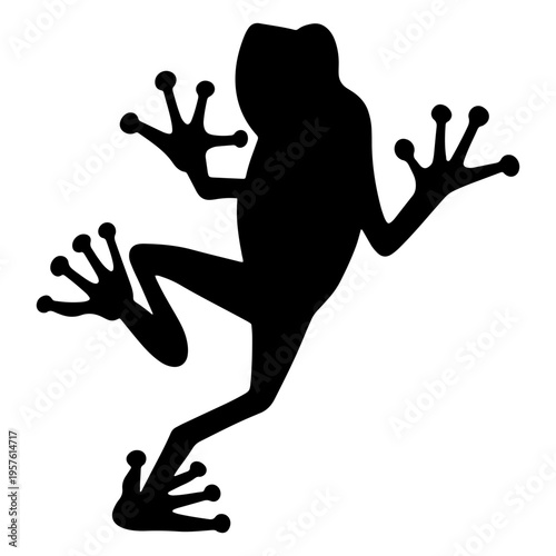 Obraz na plátne Silhouette of a frog