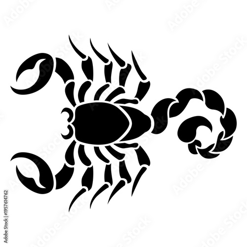 B&amp;W scorpion