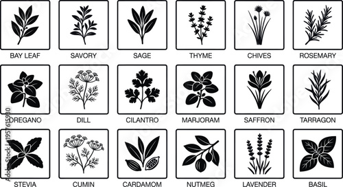 Collection of herbs and spices icons on white background