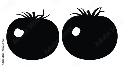 Two ripe tomatoes displayed as dark shapes a striking silhouette