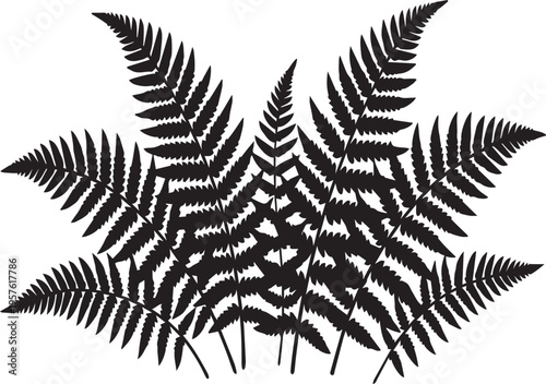 Forest Fern Leaf Silhouettes for Botanical