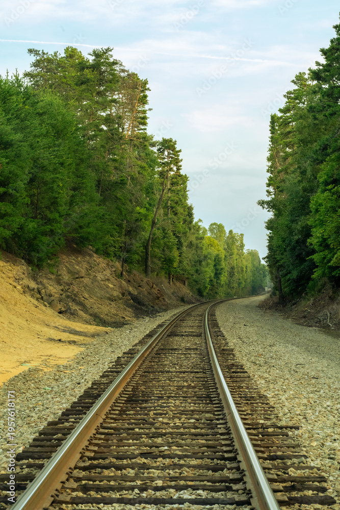 Obraz premium Train tracks surrounded by trees 