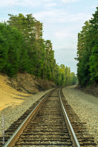 Train tracks surrounded by trees 