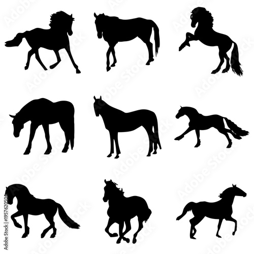 Caballos
