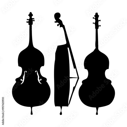 perspectiva del contrabajo