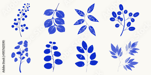 Stylized blue botanical illustration featuring various leaf and stem arrangements