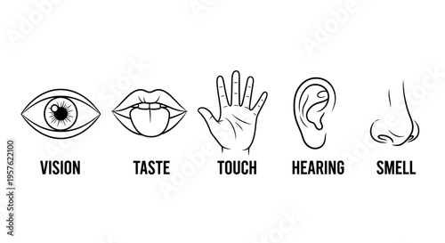 An illustration shows five human senses with icons and labels for vision, taste, touch, hearing, and smell.
