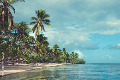 Travel background with green palm trees on caribbean beach.