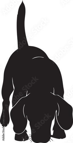 Black dog silhouette sniffing the ground with curiosity