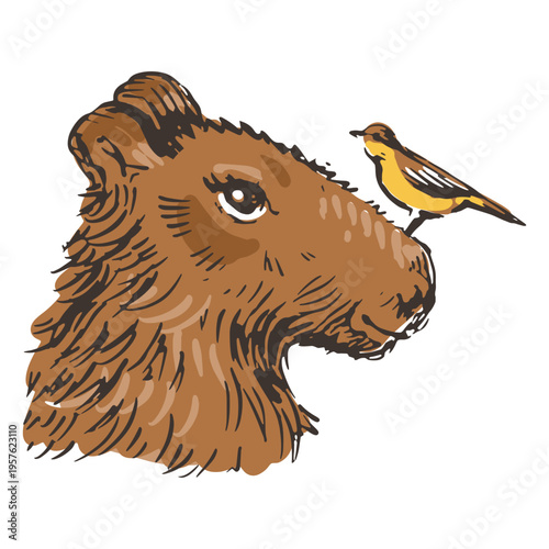 Capybara with a bird on its nose