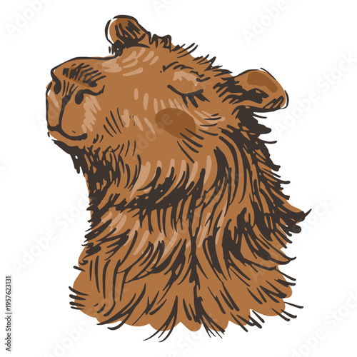 Cute relaxed capybara