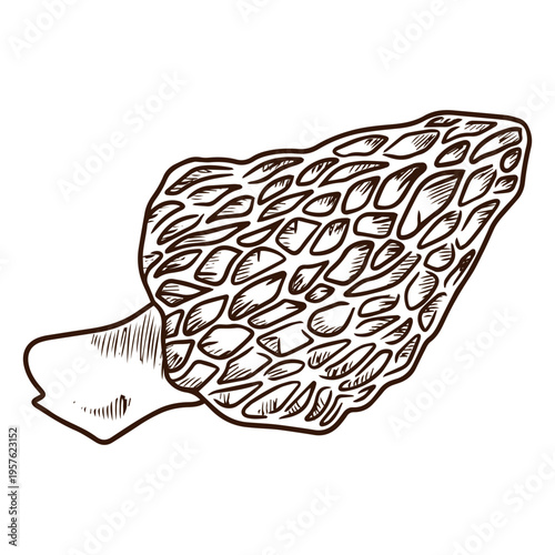 Healthy palatable mushroom