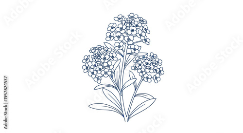 Delicate botanical illustration of forget me nots with small vibrant blue flowers and green foliage high quality professional