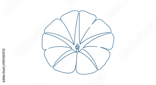 A delicate minimalist line drawing depicts a single morning glory flower in blue high quality professional