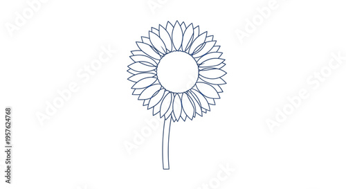 A minimalistic line drawing depicts a single sunflower with a central disk and petals high quality