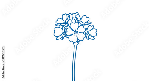 A delicate line drawing depicts a cluster of forget me not flowers on a stem high quality professional