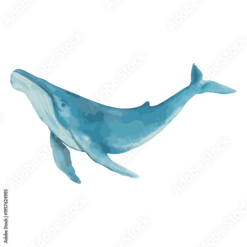 Blue whale in watercolor style