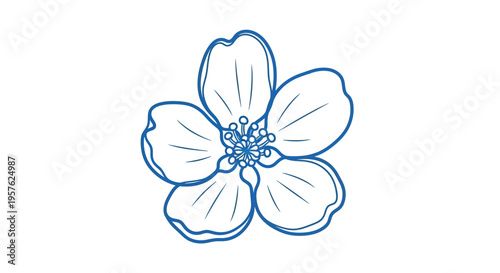 A delicate simple line drawing depicts a blossoming flower with five petals high quality professional detailed
