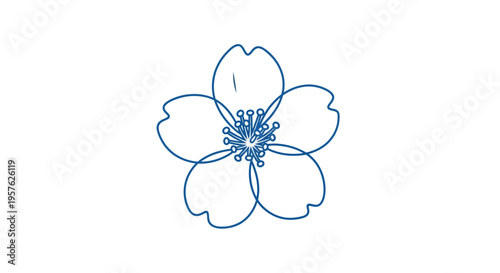 A delicate blue line drawing depicts a five petal blossom resembling a cherry or plum flower