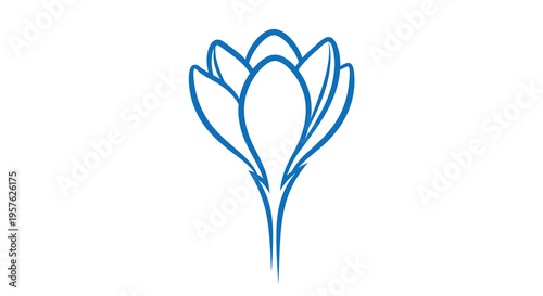 A simple line drawing depicts a blue crocus flower with upward curving petals high quality professional