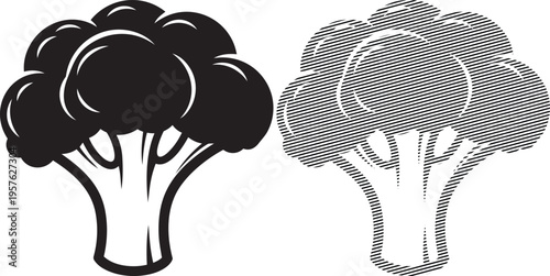 Visual comparison of two different broccoli representations using contrasting styles.