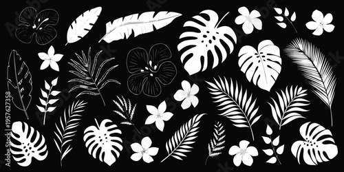 Stylized tropical leaves and flowers in a black and white arrangement