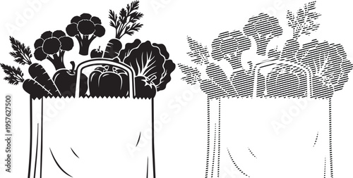 Two distinct planters showcasing different plant growth styles in a minimalist design