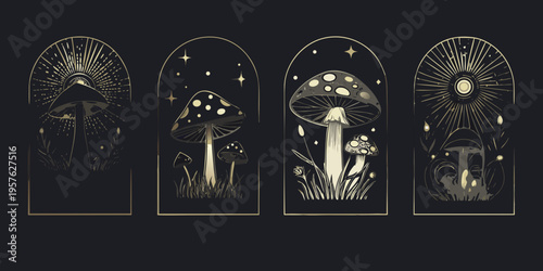 Four ornate mushroom illustrations with celestial and botanical details