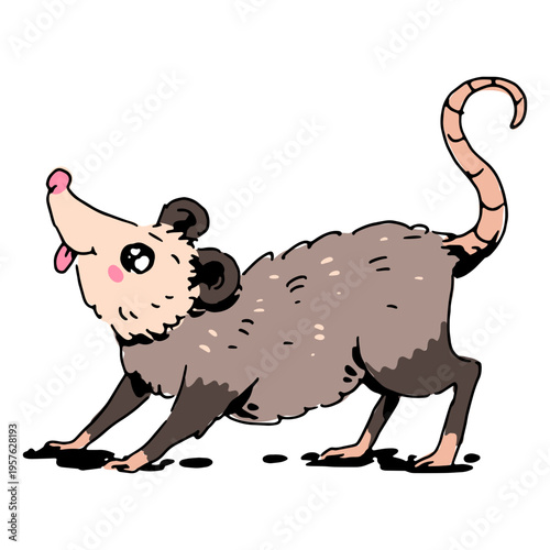 Bild auf Leinwand Cartoon opossum is standing