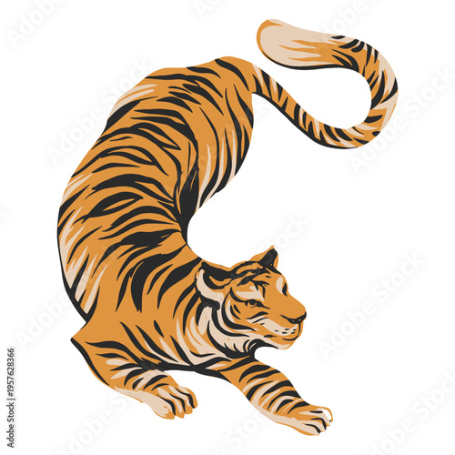Tiger is running
