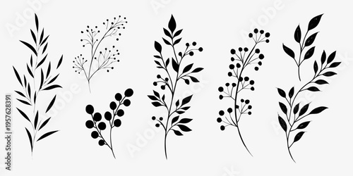 Fotografie Elegant black silhouettes of various leafy branches and botanical elements