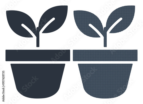 Two potted plants side by side, symbolizing growth and new beginnings