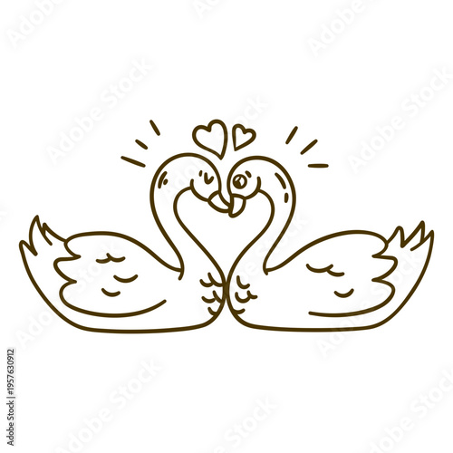 Two swans in love stroke