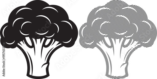 Comparative illustration of a whole broccoli and its internal floret structure