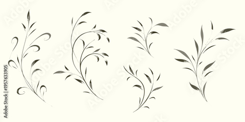 Elegant botanical illustrations of delicate branches and leaves in ink