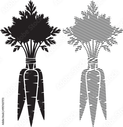 Black and white illustration of carrots with and without their green tops attached.