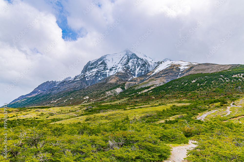 Fototapeta premium A dirt hiking path leads through a grassy meadow toward a massive snow-capped peak in Torres del Paine National Park.