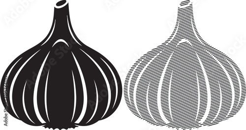 Illustrated comparison of whole black garlic bulb and regular garlic bulb
